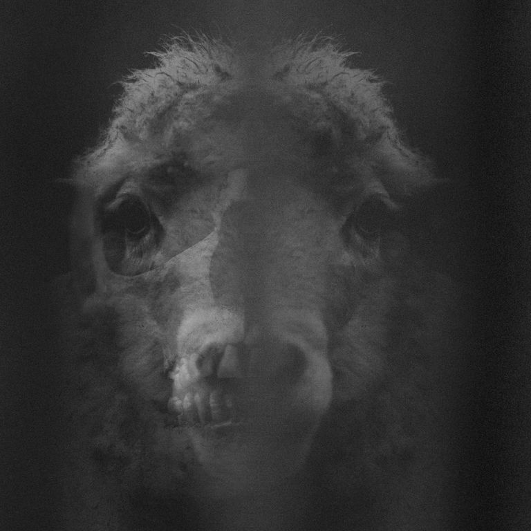 Trømmel - Impromptu EP / ATOMS4B001